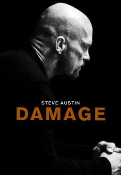 Damage (2009) 420p 300MB Dual Audio