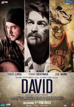 David (2013) Hindi Movie 400MB DVDRip 420P ESubs