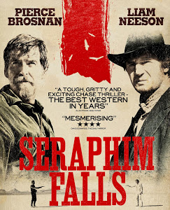 Seraphim Falls (2006) BRRip 420p 300MB Dual Audio