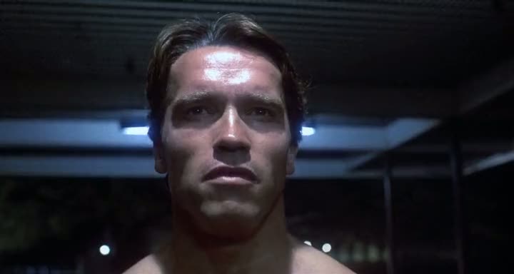 The Terminator (1984)