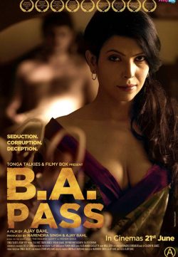 B.A. Pass (2013) Watch Online Hindi Full Movie