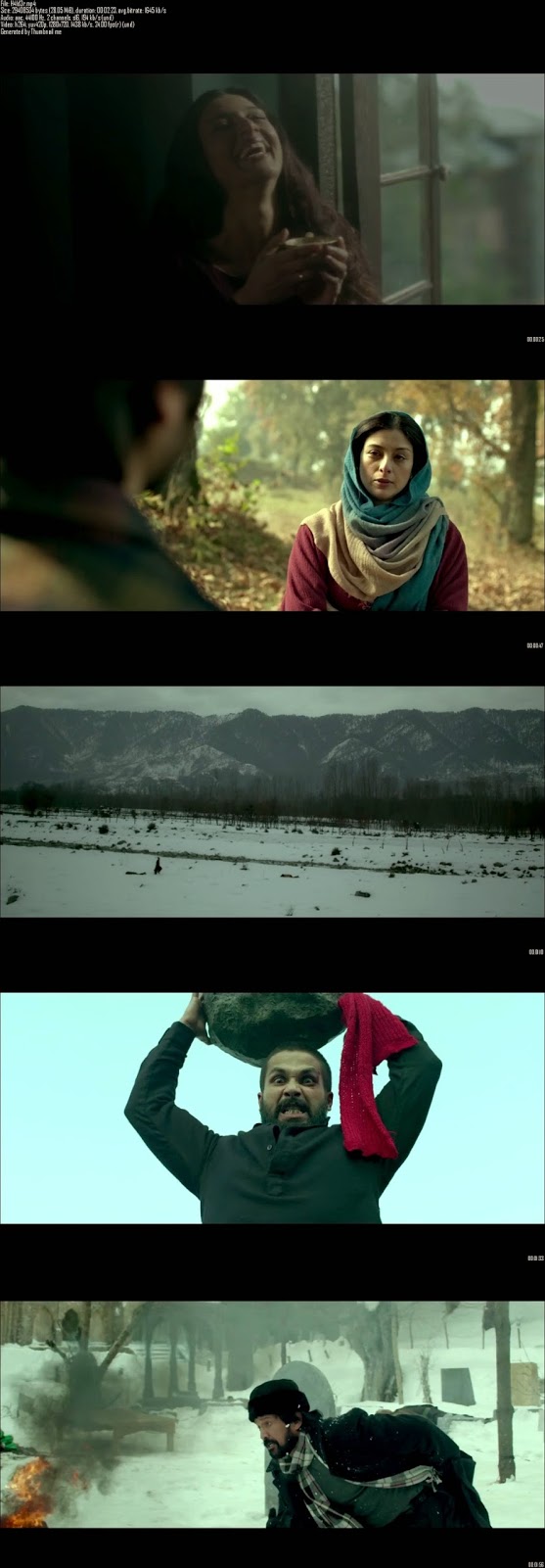 Haider (2014)