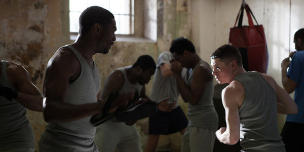 starred up 2014 