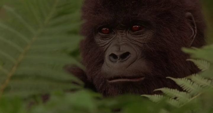 Mighty Joe Young (1998)