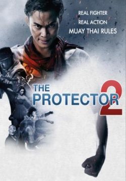 The Protector 2 (2013) Dual Audio Movie Free Download In HD 480p 250MB