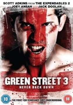 Green Street 3: Never Back Down (2013) Hindi Dubbed Download 480p