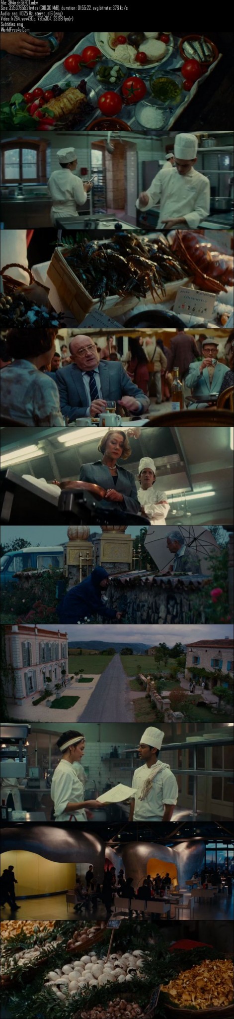 The Hundred-Foot Journey (2014)