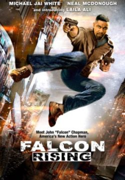 Falcon Rising (2004) hindi Dubbed Download HD 150Mb 480p