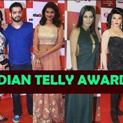 14th Indian Telly Awards 2015 Full Show HDTVRip 420p