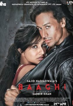 Baaghi (2016) Watch Hindi Full Movie DVDRip Online