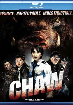 Chaw 2009 Hindi Dubbed HDRIp 200MB