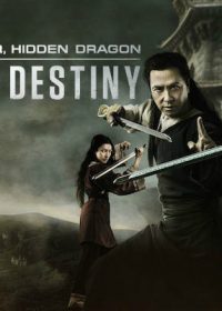 Crouching Tiger Hidden Dragon Sword of Destiny (2016) 480p DVDRip