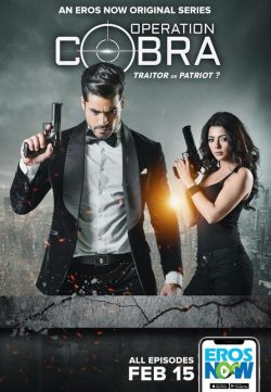 Operation Cobra (2019) Hindi All Episode 300MB HDRip 480p x264