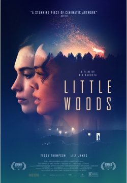 Little Woods (2019) English 300MB HDRip 480p x264